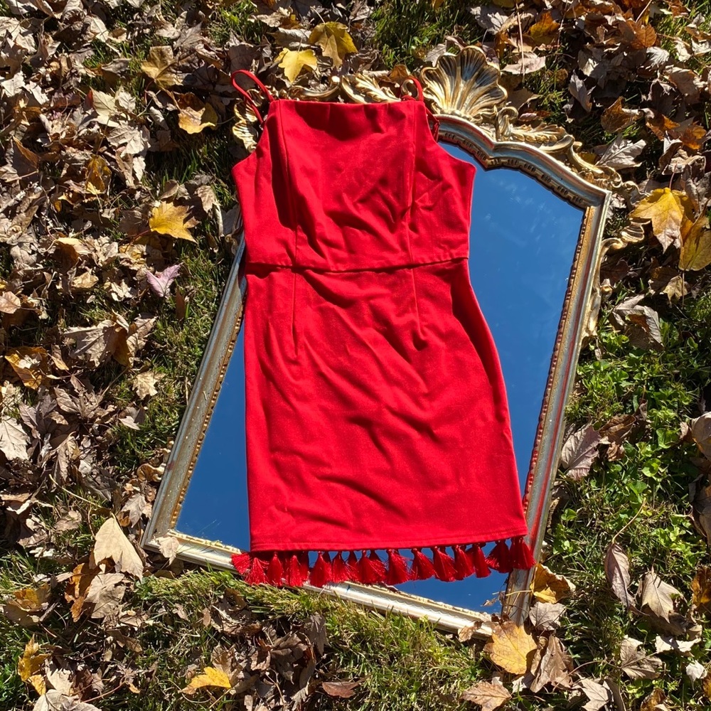 Red Tassel Fringe Dress